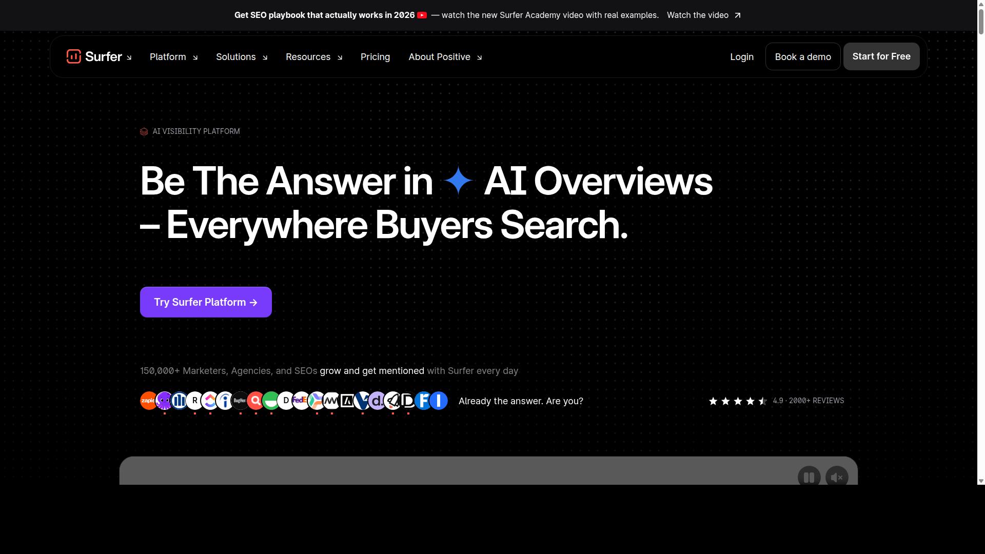 Surfer SEO website
